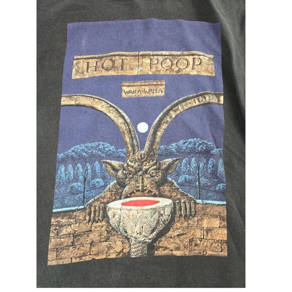 Hanes Beefy | Hot Poop T-Shirt | Size Medium - Picture 2 of 4